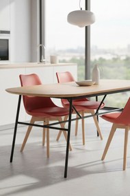 Krzeso podstawowe Synk