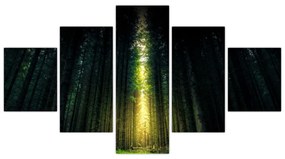 Obraz ciemnego lasu (125x70 cm)