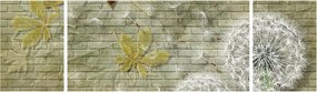 Obraz - Dmuchawce unoszone wiatrem (170x50 cm)