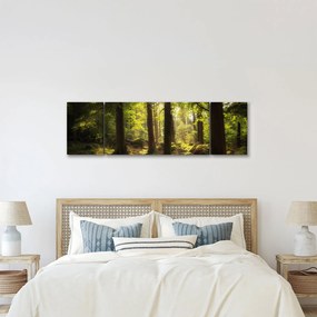 Obraz sennego lasu (170x50 cm)
