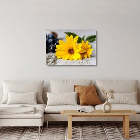 Obraz na szkle - żółte kwiaty (70x50 cm)