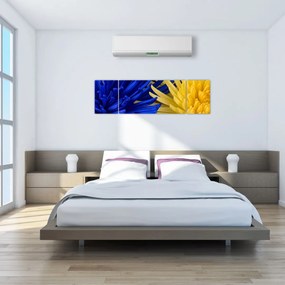 Obraz - szczegóły kwiatów (170x50 cm)