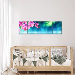 Obraz - Orchidea (170x50 cm)
