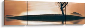 Obraz drzewa na wyspie (170x50 cm)