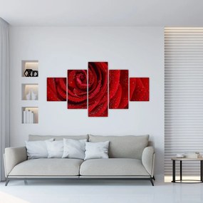 Obraz - szczegół róży (125x70 cm)