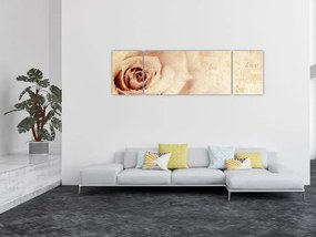 Obraz - Kwiat róży dla zakochanych (170x50 cm)