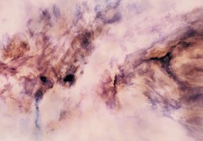 Fototapeta - Różowa abstrakcja (196x136 cm)