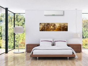 Obraz wschodu słońca (170x50 cm)