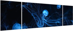 Obraz - Meduza (170x50 cm)