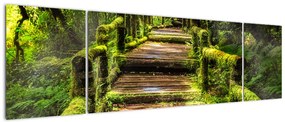 Obraz schodów w deszczowym pralesie (170x50 cm)