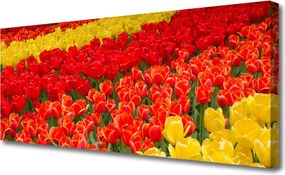 Obraz na płótnie Wiosenny Bukiet Tulipanów