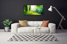 Obraz Canvas Łąka Natura Roślina