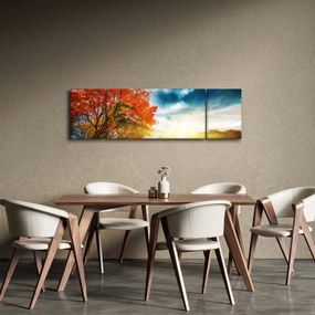 Obraz skąpanego w słońcu krajobrazu (170x50 cm)