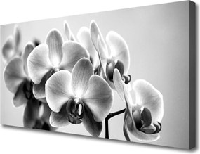 Obraz na płótnie Bukiet Kwiatów w Słońcu