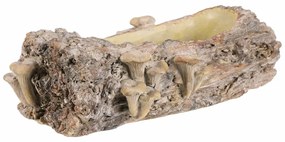 Opakowanie betonowe - skrzynka, drewno z grzybami,36 x 18 x 13 cm, brązowe