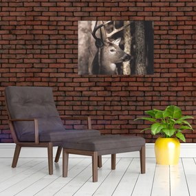 Obraz - Jeleń w lesie (70x50 cm)