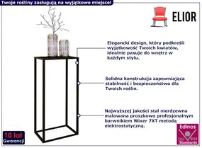 Industrialny czarny stojak na kwiaty - Shiner 6X