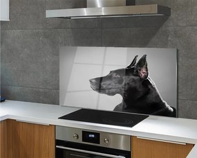 Panel szklany do Kuchni Elegancki Czarny Pies