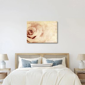 Obraz - Kwiat róży dla zakochanych (70x50 cm)