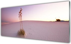 Panel Szklany Piaszczyste Wydmy Pustyni