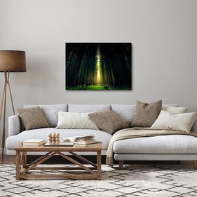 Obraz ciemnego lasu (70x50 cm)