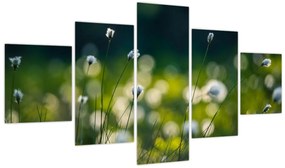 Obraz - Trawa (125x70 cm)