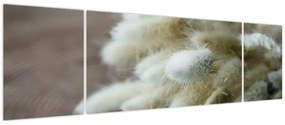 Obraz - Zajęczy ogonek (170x50 cm)