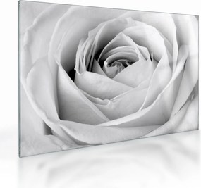 Obraz na szkle - Detal kwiatu róży (70x50 cm)