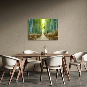 Obraz na szkle - Las bambusowy (70x50 cm)