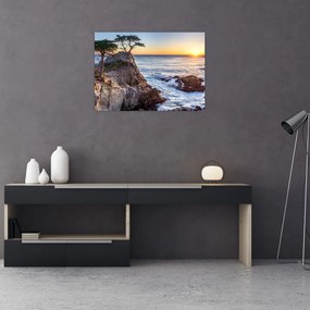 Obraz - Wybrzeże Pacyfiku (70x50 cm)