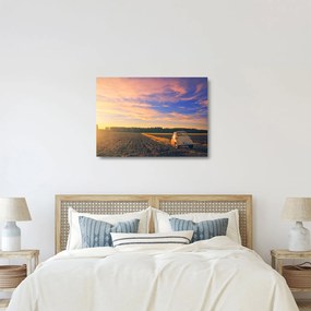 Obraz na szkle żółtego samochodu na polu (70x50 cm)