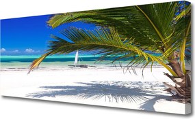 Obraz drukowany na płótnie Tropikalne Wybrzeże z Palmą