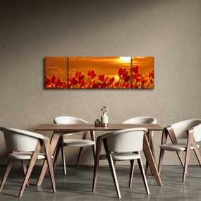 Obraz kwitnącego pola z tulipanami (170x50 cm)
