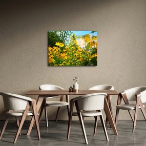 Obraz żółtych kwiatów (70x50 cm)