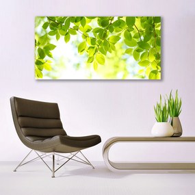 Obraz na płótnie Świeże Zielone Liście
