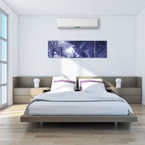 Obraz - Magiczna zimowa noc (170x50 cm)