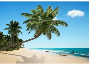 Fototapeta plaża XXL 360 x 254 cm, 4 części