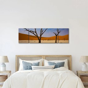 Obraz - Dolina Śmierci (170x50 cm)