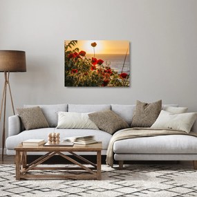 Obraz na szkle - zachód słońca z makami (70x50 cm)