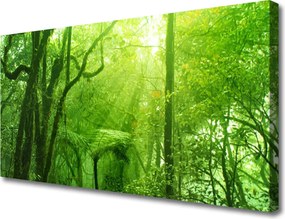 Obraz drukowany na płótnie Las w Letnim Słońcu