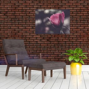 Obraz na szkle - Detal kwiatu róży (70x50 cm)