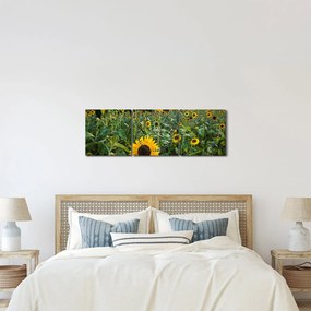 Obraz - Sunflower Field II. (z zegarem) (90x30 cm)