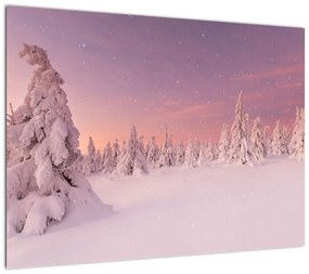 Obraz - Drzewa pod warstwą śniegu (70x50 cm)