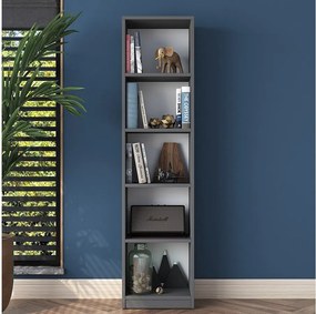 Elegancka półka – 40 x 161,8 x 25 cm – antracyt – płyta wiórowa