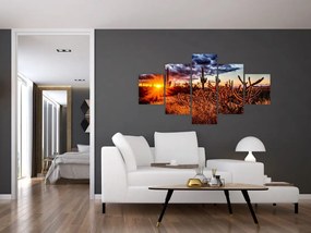 Obraz - Złota godzina pustyni (125x70 cm)