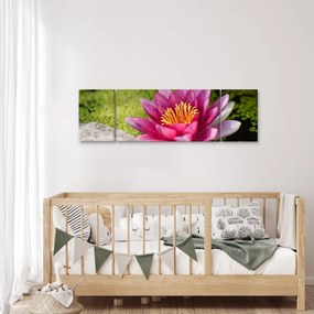 Obraz - Lilia wodna (170x50 cm)