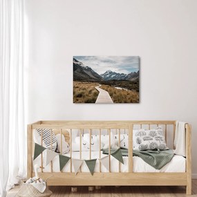 Obraz - Chodnik w dolinie góry Mt. Cook (70x50 cm)