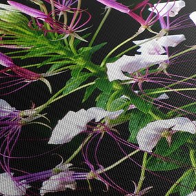 Obraz kwiatu (70x50 cm)