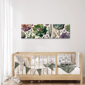 Obraz - Sukulenty (170x50 cm)