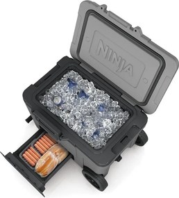 Ninja FB245EUGY lodówka turystyczna Frost Vault Wheeled, 42 l